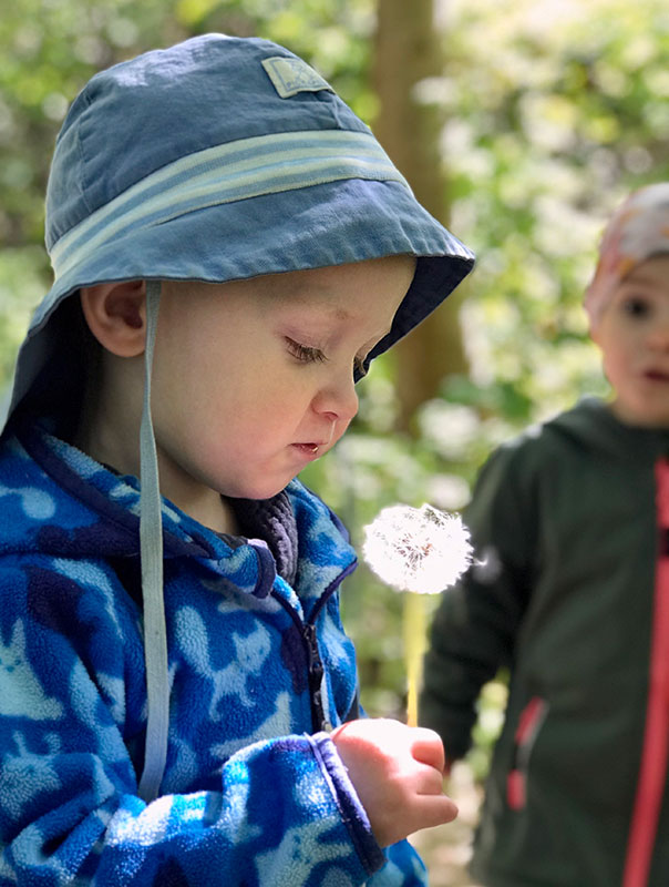 Puuusteblumentag! Tageskinder pusten Pusteblumen. TiG! Kindertagespflege in Braunschweig Gliesmarode Nicole Appel – Kindertagespflege, Krippe und Tagesmutter für Braunschweig Gliesmarode, Querum, Riddagshausen, Östliches Ringgebiet, Volkmarode, Bienrode, Waggum, Hondelage, Schuntersiedlung, Kralenriede, Dibbesdorf, Schwarzer Berg, Siegfriedviertel, Nordstadt und Schapen