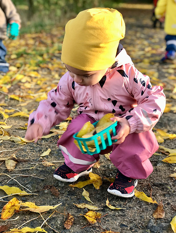 Bunt, bunter, TiG! Tageskinder sammeln buntes Herbstlaub und basteln.