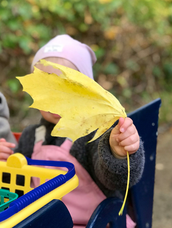 Bunt, bunter, TiG! Tageskinder sammeln buntes Herbstlaub und basteln. TiG! Kindertagespflege in Braunschweig Nicole Appel – Tagespflege, Krippe und Tagesmutter für Braunschweig Gliesmarode, Querum, Riddagshausen, Östliches Ringgebiet, Volkmarode, Bienrode, Waggum, Hondelage, Schuntersiedlung, Kralenriede, Dibbesdorf, Schwarzer Berg, Siegfriedviertel, Nordstadt und Schapen