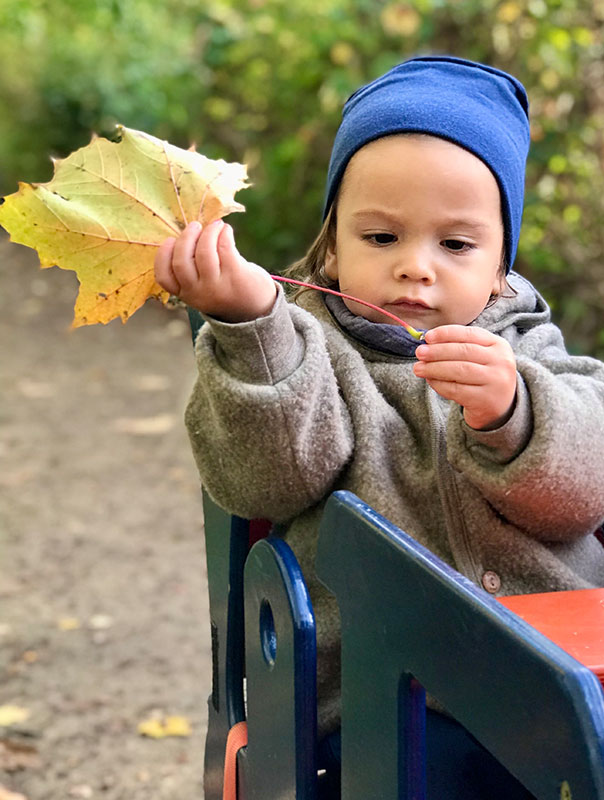 Bunt, bunter, TiG! Tageskinder sammeln buntes Herbstlaub und basteln. TiG! Kindertagespflege in Braunschweig Nicole Appel – Tagespflege, Krippe und Tagesmutter für Braunschweig Gliesmarode, Querum, Riddagshausen, Östliches Ringgebiet, Volkmarode, Bienrode, Waggum, Hondelage, Schuntersiedlung, Kralenriede, Dibbesdorf, Schwarzer Berg, Siegfriedviertel, Nordstadt und Schapen