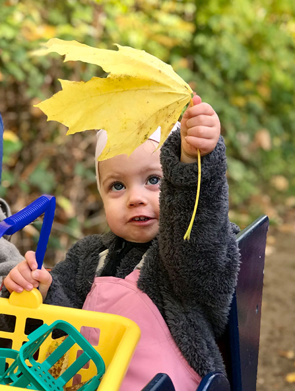 Bunt, bunter, TiG! Tageskinder sammeln buntes Herbstlaub und basteln. TiG! Kindertagespflege in Braunschweig Nicole Appel – Tagespflege, Krippe und Tagesmutter für Braunschweig Gliesmarode, Querum, Riddagshausen, Östliches Ringgebiet, Volkmarode, Bienrode, Waggum, Hondelage, Schuntersiedlung, Kralenriede, Dibbesdorf, Schwarzer Berg, Siegfriedviertel, Nordstadt und Schapen