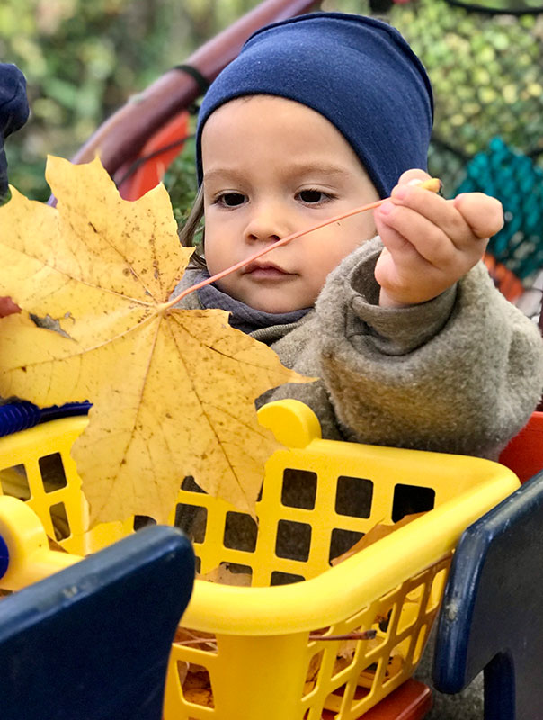 Bunt, bunter, TiG! Tageskinder sammeln buntes Herbstlaub und basteln. TiG! Kindertagespflege in Braunschweig Nicole Appel – Tagespflege, Krippe und Tagesmutter für Braunschweig Gliesmarode, Querum, Riddagshausen, Östliches Ringgebiet, Volkmarode, Bienrode, Waggum, Hondelage, Schuntersiedlung, Kralenriede, Dibbesdorf, Schwarzer Berg, Siegfriedviertel, Nordstadt und Schapen