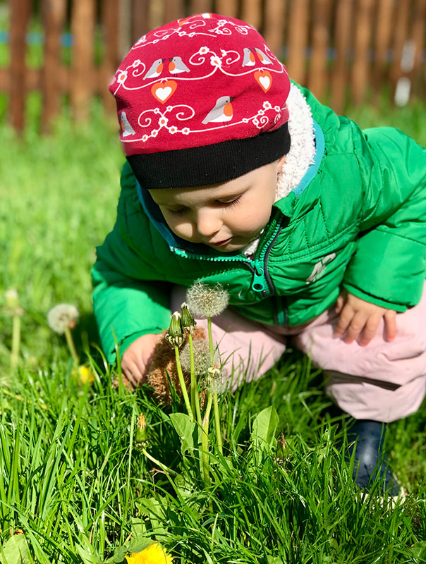 Die TiG! Tageskinder entdecken gemeinsam mit ihrer Tagesmutter Pusteblumen und bringen die kleinen Schirmchen auf ihren weiteren Lebensweg.