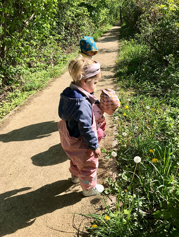 Pi-Pa-Pusteblumentag! Die TiG! Tageskinder entdecken Pusteblumen und bringen die kleinen Schirmchen auf ihren weiteren Lebensweg. TiG! Kindertagespflege in Braunschweig Nicole Appel – Kindertagespflege, Krippe und Tagesmutter für Braunschweig Gliesmarode, Querum, Riddagshausen, Östliches Ringgebiet, Volkmarode, Bienrode, Waggum, Hondelage, Schuntersiedlung, Kralenriede, Dibbesdorf, Schwarzer Berg, Siegfriedviertel, Nordstadt und Schapen