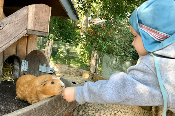 Die TiG! Krippenkinder aus Braunschweig sind mit Ihrer Tagesmutter im Tierpark Essehof unterwegs und erleben ganz viel.