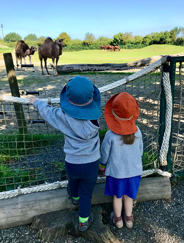 Oho – wir gehen in den Zoo!! Die TiG! Tageskinder sind heute im Tierpark Essehof unterwegs. TiG! Kindertagespflege in Braunschweig Nicole Appel – Kindertagespflege, Krippe und Tagesmutter für Braunschweig Gliesmarode, Querum, Riddagshausen, Östliches Ringgebiet, Volkmarode, Bienrode, Waggum, Hondelage, Schuntersiedlung, Kralenriede, Dibbesdorf, Schwarzer Berg, Siegfriedviertel, Nordstadt und Schapen