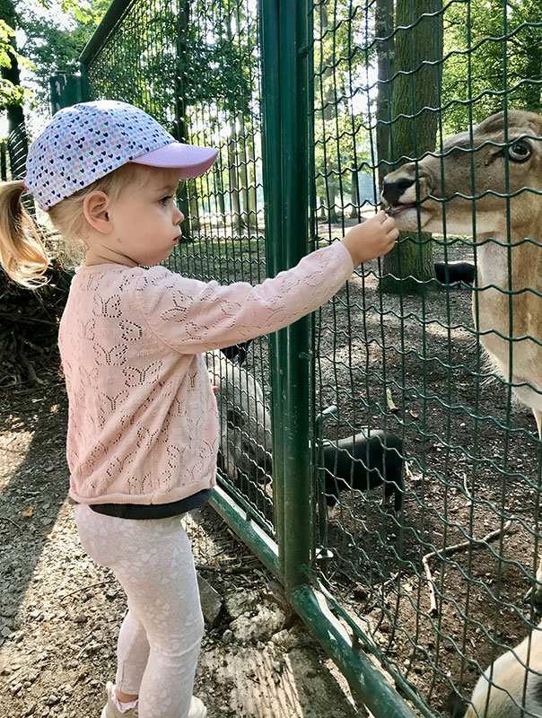 Die TiG! Krippenkinder aus Braunschweig sind mit Ihrer Tagesmutter im Tierpark Essehof unterwegs und erleben ganz viel.