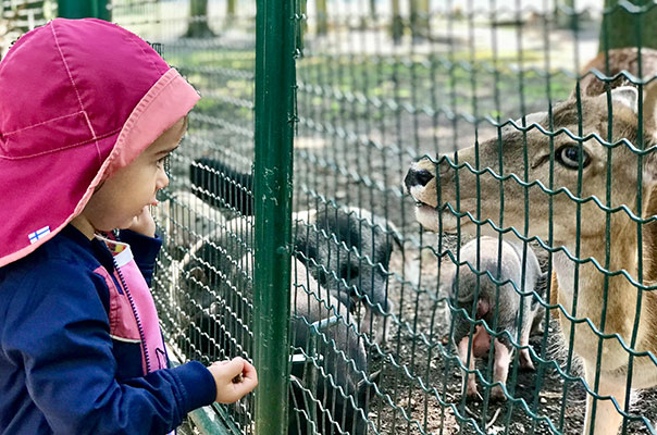 Oho – wir gehen in den Zoo!! Die TiG! Tageskinder sind heute im Tierpark Essehof unterwegs. TiG! Kindertagespflege in Braunschweig Nicole Appel – Kindertagespflege, Krippe und Tagesmutter für Braunschweig Gliesmarode, Querum, Riddagshausen, Östliches Ringgebiet, Volkmarode, Bienrode, Waggum, Hondelage, Schuntersiedlung, Kralenriede, Dibbesdorf, Schwarzer Berg, Siegfriedviertel, Nordstadt und Schapen