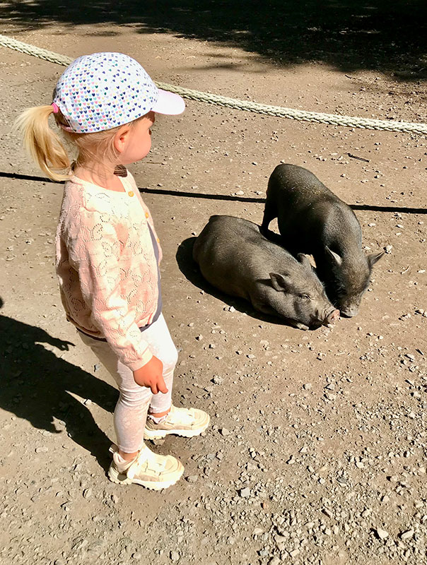 Die TiG! Krippenkinder aus Braunschweig sind mit Ihrer Tagesmutter im Tierpark Essehof unterwegs und erleben ganz viel.