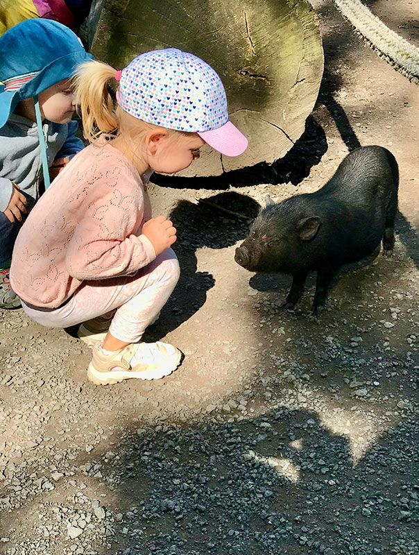 Die TiG! Krippenkinder aus Braunschweig sind mit Ihrer Tagesmutter im Tierpark Essehof unterwegs und erleben ganz viel.