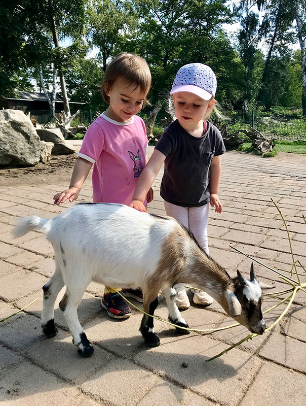 Oho – wir gehen in den Zoo!! Die TiG! Tageskinder sind heute im Tierpark Essehof unterwegs. TiG! Kindertagespflege in Braunschweig Nicole Appel – Kindertagespflege, Krippe und Tagesmutter für Braunschweig Gliesmarode, Querum, Riddagshausen, Östliches Ringgebiet, Volkmarode, Bienrode, Waggum, Hondelage, Schuntersiedlung, Kralenriede, Dibbesdorf, Schwarzer Berg, Siegfriedviertel, Nordstadt und Schapen