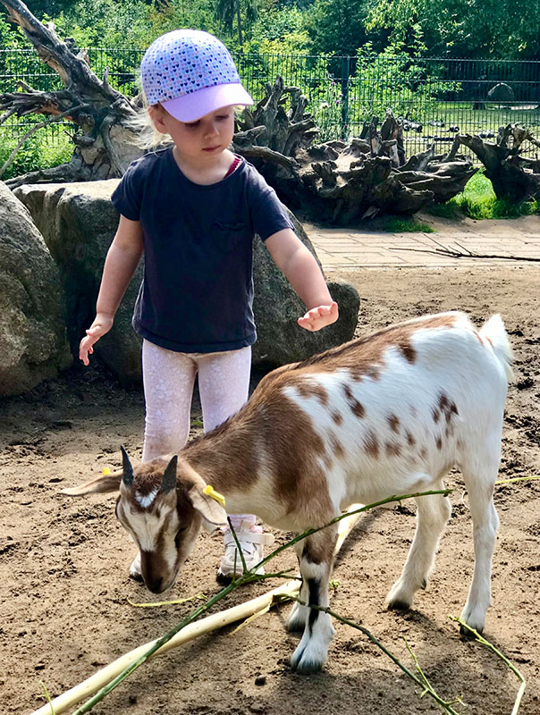 Oho – wir gehen in den Zoo!! Die TiG! Tageskinder sind heute im Tierpark Essehof unterwegs. TiG! Kindertagespflege in Braunschweig Nicole Appel – Kindertagespflege, Krippe und Tagesmutter für Braunschweig Gliesmarode, Querum, Riddagshausen, Östliches Ringgebiet, Volkmarode, Bienrode, Waggum, Hondelage, Schuntersiedlung, Kralenriede, Dibbesdorf, Schwarzer Berg, Siegfriedviertel, Nordstadt und Schapen