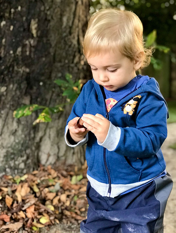 Wir sammeln Ki-Ka-Kastanien! Wir TiG! Tageskinder sammeln heute Kastanien von unserem Kastanienbaum. TiG! Kindertagespflege in Braunschweig Nicole Appel – Kindertagespflege, Krippe und Tagesmutter für Braunschweig Gliesmarode, Querum, Riddagshausen, Östliches Ringgebiet, Volkmarode, Bienrode, Waggum, Hondelage, Schuntersiedlung, Kralenriede, Dibbesdorf, Schwarzer Berg, Siegfriedviertel, Nordstadt und Schapen