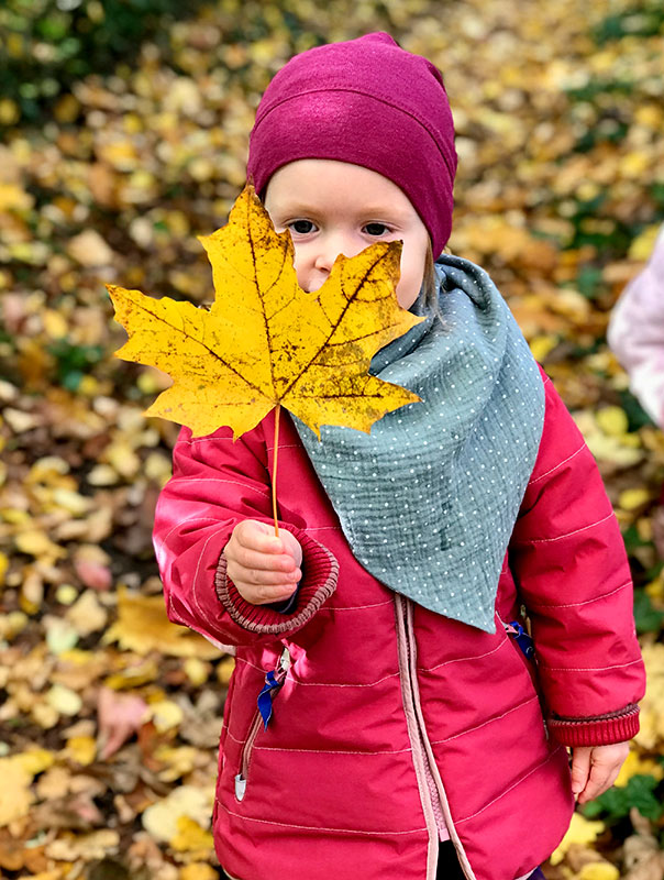 Gemeinsam mit unserer Tagesmutter sind wir heute bei tollem Herbstwetter unterwegs und sammeln wunderschöne bunte Herbstblätter.