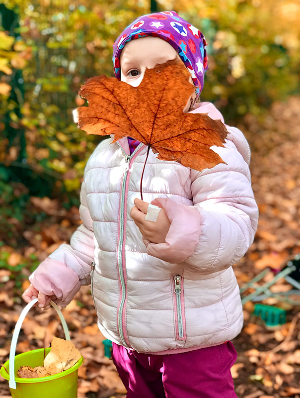 Herbstbunte Blättersammelei! Wir TiG! Tageskinder sind heute draußen unterwegs und sammeln viele schöne bunte Herbstblätter. TiG! Kindertagespflege in Braunschweig Nicole Appel – Kindertagespflege, Krippe und Tagesmutter für Braunschweig Gliesmarode, Querum, Riddagshausen, Östliches Ringgebiet, Volkmarode, Bienrode, Waggum, Hondelage, Schuntersiedlung, Kralenriede, Dibbesdorf, Schwarzer Berg, Siegfriedviertel, Nordstadt und Schapen