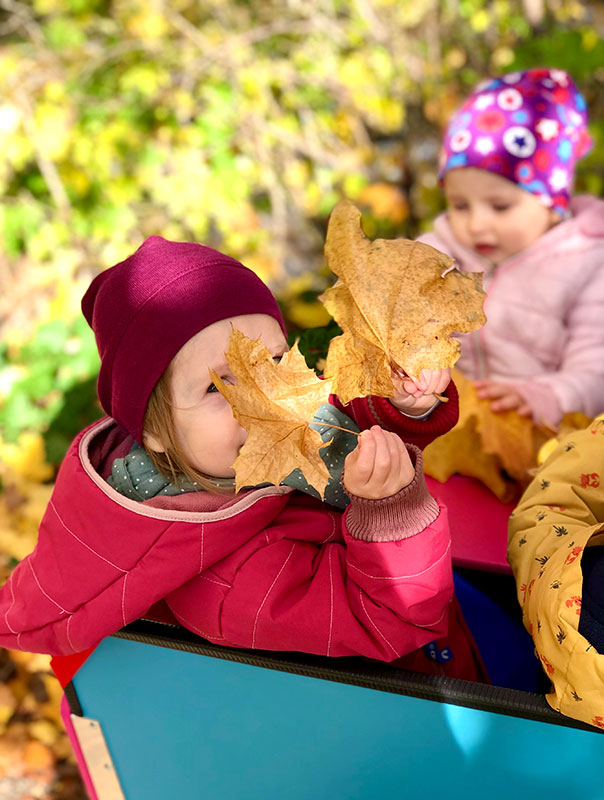 Gemeinsam mit unserer Tagesmutter sind wir heute bei tollem Herbstwetter unterwegs und sammeln wunderschöne bunte Herbstblätter.