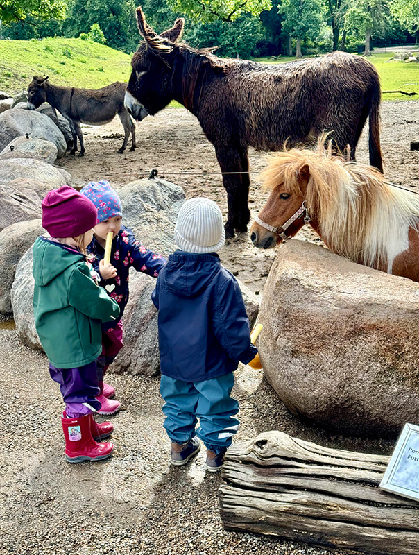 Wir TiG! Tageskinder sind im Tierpark unterwegs und sehen ganz viele Tiere. TiG! Kindertagespflege in Braunschweig Nicole Appel – Kindertagespflege, Krippe und Tagesmutter für Braunschweig Gliesmarode, Querum, Riddagshausen, Östliches Ringgebiet, Volkmarode, Bienrode, Waggum, Hondelage, Schuntersiedlung, Kralenriede, Dibbesdorf, Schwarzer Berg, Siegfriedviertel, Nordstadt und Schapen