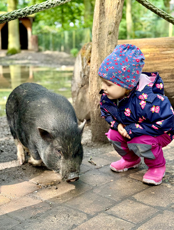 Wir sind im Tierpark Essehof! Wir TiG! Tageskinder sind im Tierpark unterwegs und sehen ganz viele Tiere. TiG! Kindertagespflege in Braunschweig Nicole Appel – Kindertagespflege, Krippe und Tagesmutter für Braunschweig Gliesmarode, Querum, Riddagshausen, Östliches Ringgebiet, Volkmarode, Bienrode, Waggum, Hondelage, Schuntersiedlung, Kralenriede, Dibbesdorf, Schwarzer Berg, Siegfriedviertel, Nordstadt und Schapen