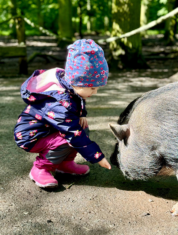 Wir TiG! Tageskinder sind im Tierpark unterwegs und sehen ganz viele Tiere. TiG! Kindertagespflege in Braunschweig Nicole Appel – Kindertagespflege, Krippe und Tagesmutter für Braunschweig Gliesmarode, Querum, Riddagshausen, Östliches Ringgebiet, Volkmarode, Bienrode, Waggum, Hondelage, Schuntersiedlung, Kralenriede, Dibbesdorf, Schwarzer Berg, Siegfriedviertel, Nordstadt und Schapen