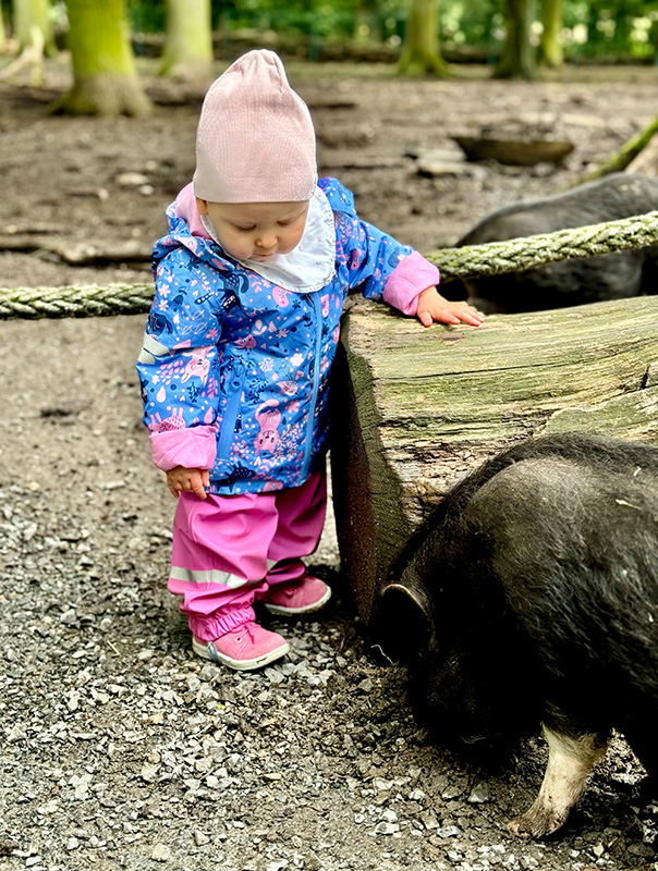Wir sind im Tierpark Essehof! Wir TiG! Tageskinder sind im Tierpark unterwegs und sehen ganz viele Tiere. TiG! Kindertagespflege in Braunschweig Nicole Appel – Kindertagespflege, Krippe und Tagesmutter für Braunschweig Gliesmarode, Querum, Riddagshausen, Östliches Ringgebiet, Volkmarode, Bienrode, Waggum, Hondelage, Schuntersiedlung, Kralenriede, Dibbesdorf, Schwarzer Berg, Siegfriedviertel, Nordstadt und Schapen
