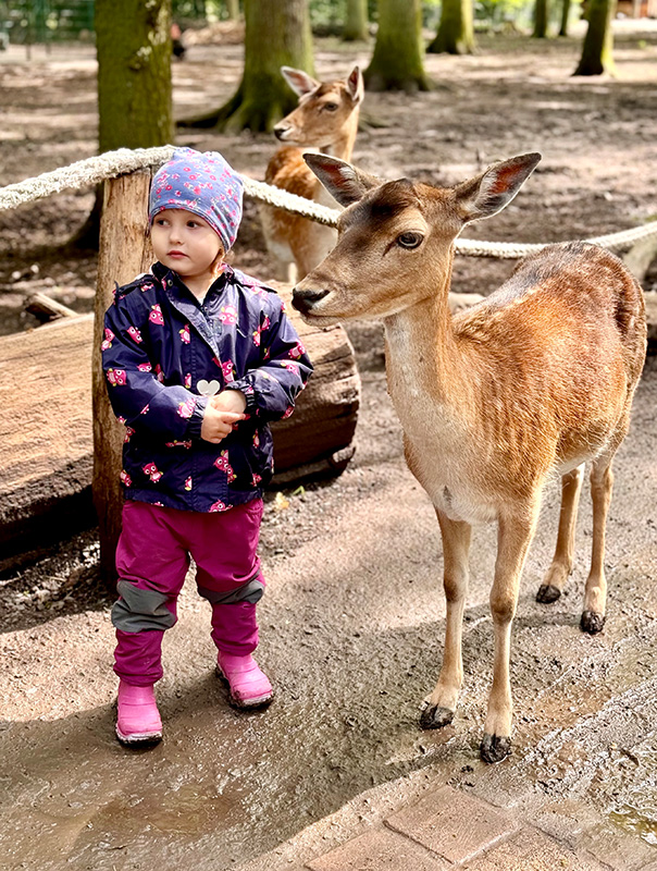 Wir sind im Tierpark Essehof! Wir TiG! Tageskinder sind im Tierpark unterwegs und sehen ganz viele Tiere. TiG! Kindertagespflege in Braunschweig Nicole Appel – Kindertagespflege, Krippe und Tagesmutter für Braunschweig Gliesmarode, Querum, Riddagshausen, Östliches Ringgebiet, Volkmarode, Bienrode, Waggum, Hondelage, Schuntersiedlung, Kralenriede, Dibbesdorf, Schwarzer Berg, Siegfriedviertel, Nordstadt und Schapen