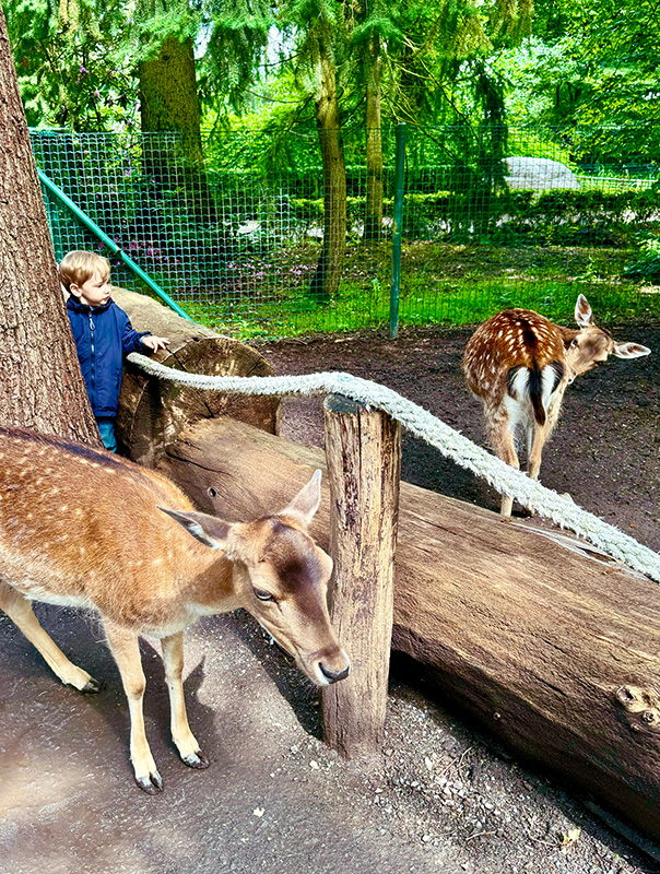 Wir sind im Tierpark Essehof! Wir TiG! Tageskinder sind im Tierpark unterwegs und sehen ganz viele Tiere. TiG! Kindertagespflege in Braunschweig Nicole Appel – Kindertagespflege, Krippe und Tagesmutter für Braunschweig Gliesmarode, Querum, Riddagshausen, Östliches Ringgebiet, Volkmarode, Bienrode, Waggum, Hondelage, Schuntersiedlung, Kralenriede, Dibbesdorf, Schwarzer Berg, Siegfriedviertel, Nordstadt und Schapen