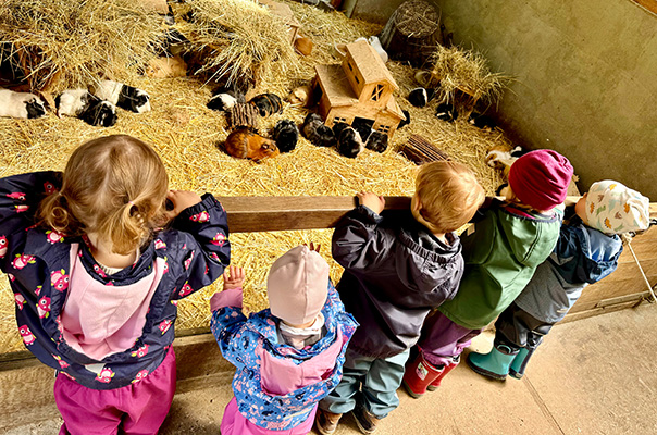 Wir TiG! Tageskinder sind im Tierpark unterwegs und sehen ganz viele Tiere. TiG! Kindertagespflege in Braunschweig Nicole Appel – Kindertagespflege, Krippe und Tagesmutter für Braunschweig Gliesmarode, Querum, Riddagshausen, Östliches Ringgebiet, Volkmarode, Bienrode, Waggum, Hondelage, Schuntersiedlung, Kralenriede, Dibbesdorf, Schwarzer Berg, Siegfriedviertel, Nordstadt und Schapen