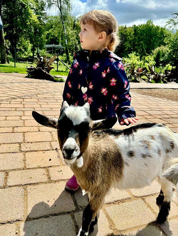 Wir TiG! Tageskinder sind im Zoo unterwegs und sehen ganz viele Tiere. TiG! Kindertagespflege in Braunschweig Nicole Appel – Kindertagespflege, Krippe und Tagesmutter für Braunschweig Gliesmarode, Querum, Riddagshausen, Östliches Ringgebiet, Volkmarode, Bienrode, Waggum, Hondelage, Schuntersiedlung, Kralenriede, Dibbesdorf, Schwarzer Berg, Siegfriedviertel, Nordstadt und Schapen