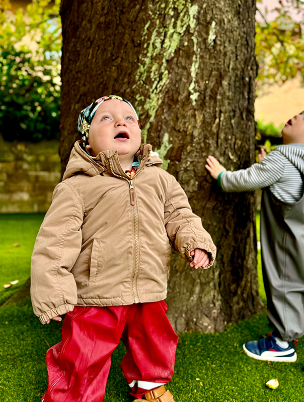 Bäumchen, rüttel dich! Wir Tageskinder finden eine Kastanienkette. TiG! Kindertagespflege in Braunschweig Nicole Appel – Kindertagespflege, Krippe und Tagesmutter für Braunschweig Gliesmarode, Querum, Riddagshausen, Östliches Ringgebiet, Volkmarode, Bienrode, Waggum, Hondelage, Schuntersiedlung, Kralenriede, Dibbesdorf, Schwarzer Berg, Siegfriedviertel, Nordstadt und Schapen