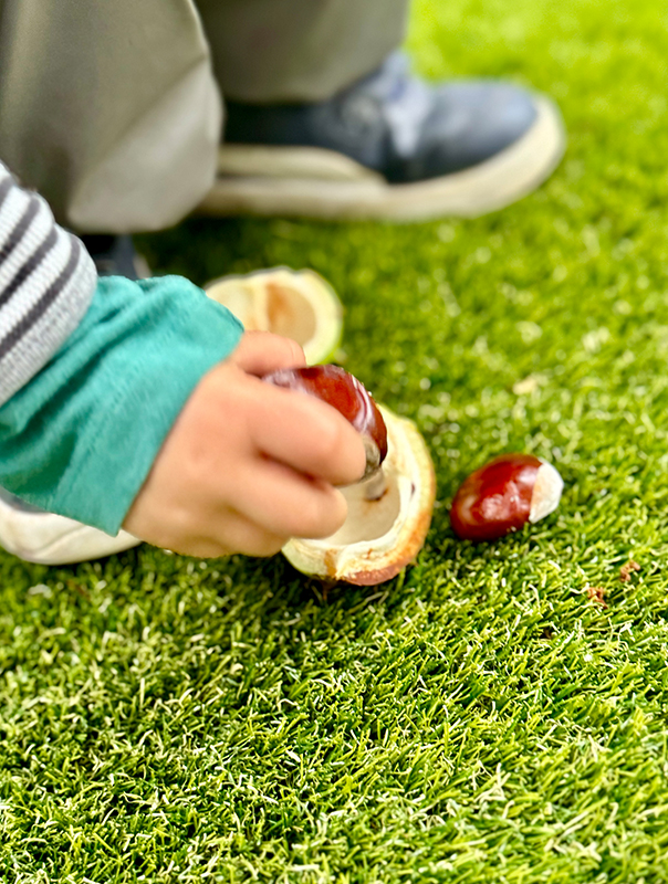 Bäumchen, rüttel dich! Wir Tageskinder finden eine Kastanienkette. TiG! Kindertagespflege in Braunschweig Nicole Appel – Kindertagespflege, Krippe und Tagesmutter für Braunschweig Gliesmarode, Querum, Riddagshausen, Östliches Ringgebiet, Volkmarode, Bienrode, Waggum, Hondelage, Schuntersiedlung, Kralenriede, Dibbesdorf, Schwarzer Berg, Siegfriedviertel, Nordstadt und Schapen