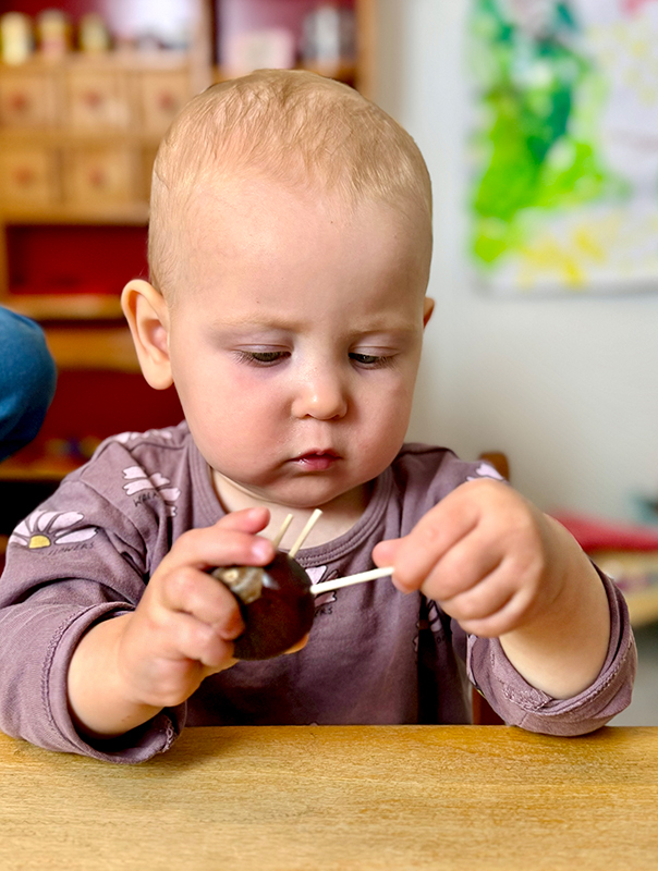 Wir Tageskinder basteln Kastanienigel und unsere Kastanienkette ist mittendrin dabei. TiG! Kindertagespflege in Braunschweig Nicole Appel – Kindertagespflege, Krippe und Tagesmutter für Braunschweig Gliesmarode, Querum, Riddagshausen, Östliches Ringgebiet, Volkmarode, Bienrode, Waggum, Hondelage, Schuntersiedlung, Kralenriede, Dibbesdorf, Schwarzer Berg, Siegfriedviertel, Nordstadt und Schapen