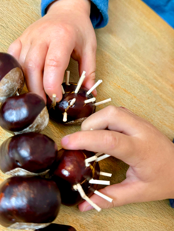Wir Tageskinder basteln Kastanienigel und unsere Kastanienkette ist mittendrin dabei. TiG! Kindertagespflege in Braunschweig Nicole Appel – Kindertagespflege, Krippe und Tagesmutter für Braunschweig Gliesmarode, Querum, Riddagshausen, Östliches Ringgebiet, Volkmarode, Bienrode, Waggum, Hondelage, Schuntersiedlung, Kralenriede, Dibbesdorf, Schwarzer Berg, Siegfriedviertel, Nordstadt und Schapen