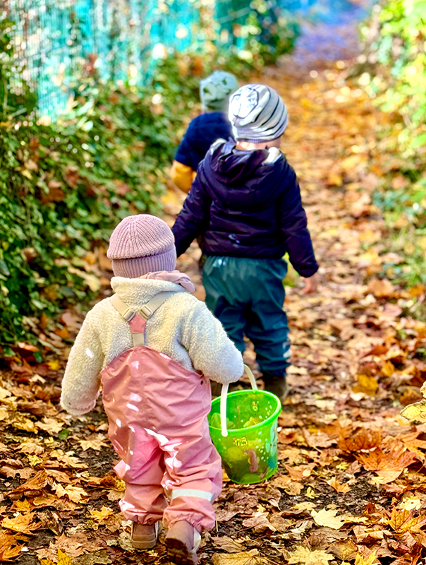 Wir Tageskinder sammeln bunte Herbstblätter in der Natur. TiG! Kindertagespflege in Braunschweig Nicole Appel – Kindertagespflege, Krippe und Tagesmutter für Braunschweig Gliesmarode, Querum, Riddagshausen, Östliches Ringgebiet, Volkmarode, Bienrode, Waggum, Hondelage, Schuntersiedlung, Kralenriede, Dibbesdorf, Schwarzer Berg, Siegfriedviertel, Nordstadt und Schapen
