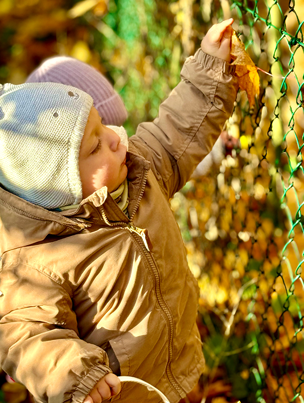 Wir Tageskinder sammeln bunte Herbstblätter in der Natur. TiG! Kindertagespflege in Braunschweig Nicole Appel – Kindertagespflege, Krippe und Tagesmutter für Braunschweig Gliesmarode, Querum, Riddagshausen, Östliches Ringgebiet, Volkmarode, Bienrode, Waggum, Hondelage, Schuntersiedlung, Kralenriede, Dibbesdorf, Schwarzer Berg, Siegfriedviertel, Nordstadt und Schapen