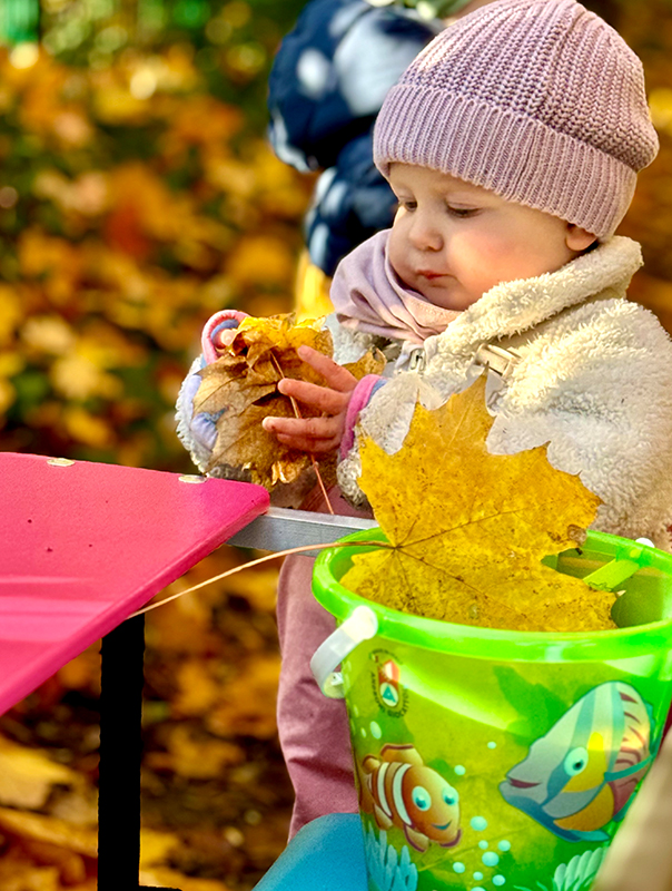 Bunt ist der Herbst! Wir Tageskinder sammeln bunte Herbstblätter in der Natur. TiG! Kindertagespflege in Braunschweig Nicole Appel – Kindertagespflege, Krippe und Tagesmutter für Braunschweig Gliesmarode, Querum, Riddagshausen, Östliches Ringgebiet, Volkmarode, Bienrode, Waggum, Hondelage, Schuntersiedlung, Kralenriede, Dibbesdorf, Schwarzer Berg, Siegfriedviertel, Nordstadt und Schapen