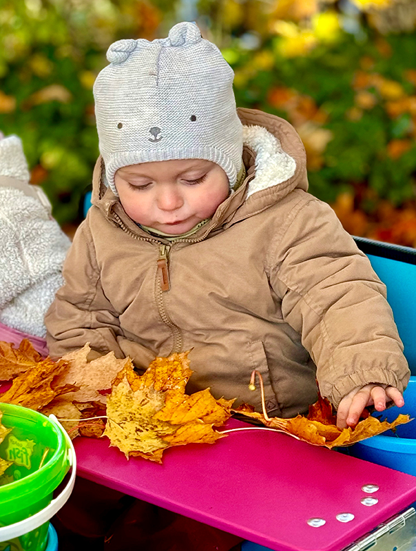 Wir Tageskinder sammeln bunte Herbstblätter in der Natur. TiG! Kindertagespflege in Braunschweig Nicole Appel – Kindertagespflege, Krippe und Tagesmutter für Braunschweig Gliesmarode, Querum, Riddagshausen, Östliches Ringgebiet, Volkmarode, Bienrode, Waggum, Hondelage, Schuntersiedlung, Kralenriede, Dibbesdorf, Schwarzer Berg, Siegfriedviertel, Nordstadt und Schapen