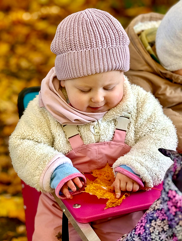 Bunt ist der Herbst! Wir Tageskinder sammeln bunte Herbstblätter in der Natur. TiG! Kindertagespflege in Braunschweig Nicole Appel – Kindertagespflege, Krippe und Tagesmutter für Braunschweig Gliesmarode, Querum, Riddagshausen, Östliches Ringgebiet, Volkmarode, Bienrode, Waggum, Hondelage, Schuntersiedlung, Kralenriede, Dibbesdorf, Schwarzer Berg, Siegfriedviertel, Nordstadt und Schapen