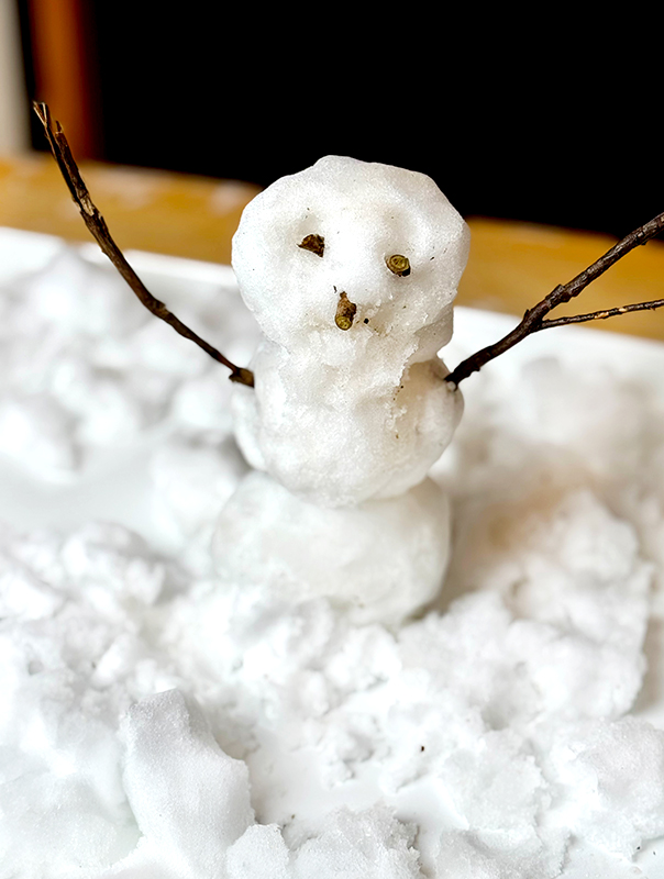 Wir Tageskinder sind draußen und drinnen im und mit Schnee unterwegs TiG! Kindertagespflege in Braunschweig Nicole Appel – Kindertagespflege, Krippe und Tagesmutter für Braunschweig Gliesmarode, Querum, Riddagshausen, Östliches Ringgebiet, Volkmarode, Bienrode, Waggum, Hondelage, Schuntersiedlung, Kralenriede, Dibbesdorf, Schwarzer Berg, Siegfriedviertel, Nordstadt und Schapen