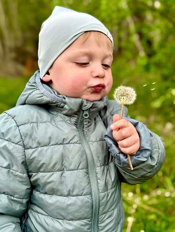 Puuuuusteblumen! Wir Tageskinder sind in der Natur unterwegs und am Pusteblumenpuuusten!. TiG! Kindertagespflege in Braunschweig Nicole Appel – Kindertagespflege, Krippe und Tagesmutter für Braunschweig Gliesmarode, Querum, Riddagshausen, Östliches Ringgebiet, Volkmarode, Bienrode, Waggum, Hondelage, Schuntersiedlung, Kralenriede, Dibbesdorf, Schwarzer Berg, Siegfriedviertel, Nordstadt und Schapen