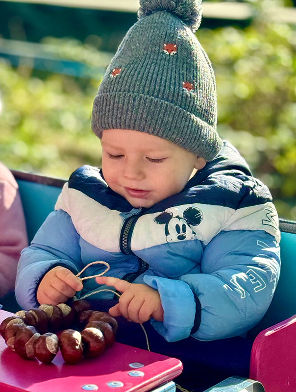 Wir Tageskinder sind im Herbst unterwegs! TiG! Kindertagespflege in Braunschweig Nicole Appel – Kindertagespflege, Krippe und Tagesmutter für Braunschweig Gliesmarode, Querum, Riddagshausen, Östliches Ringgebiet, Volkmarode, Bienrode, Waggum, Hondelage, Schuntersiedlung, Kralenriede, Dibbesdorf, Schwarzer Berg, Siegfriedviertel, Nordstadt und Schapen