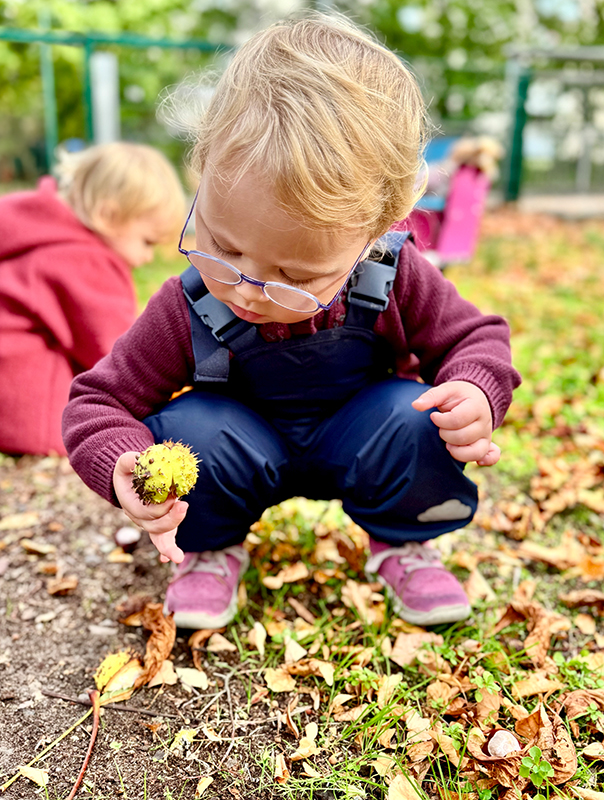 Ahoi Kastanien! Kastaniensammeln im Herbst. Ahoi TiG! Kindertagespflege Braunschweig Gliesmarode – Krippe, Tagesmutter Nicole Appel Ahoi Kastanien! Bei Ahoi TiG! sind wir draußen unterwegs und sammeln Kastanien! Kindertagespflege in Braunschweig Nicole Appel – Kindertagespflege, Krippe und Tagesmutter für Braunschweig Gliesmarode, Querum, Riddagshausen, Östliches Ringgebiet, Volkmarode, Bienrode, Waggum, Hondelage, Schuntersiedlung, Kralenriede, Dibbesdorf, Schwarzer Berg, Siegfriedviertel, Nordstadt und Schapen, Kitafinder