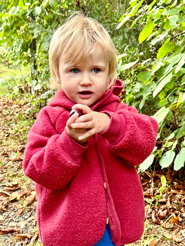 Ahoi Kastanien! Kastaniensammeln im Herbst. Ahoi TiG! Kindertagespflege Braunschweig Gliesmarode – Krippe, Tagesmutter Nicole Appel Ahoi Kastanien! Bei Ahoi TiG! sind wir draußen unterwegs und sammeln Kastanien! Kindertagespflege in Braunschweig Nicole Appel – Kindertagespflege, Krippe und Tagesmutter für Braunschweig Gliesmarode, Querum, Riddagshausen, Östliches Ringgebiet, Volkmarode, Bienrode, Waggum, Hondelage, Schuntersiedlung, Kralenriede, Dibbesdorf, Schwarzer Berg, Siegfriedviertel, Nordstadt und Schapen, Kitafinder
