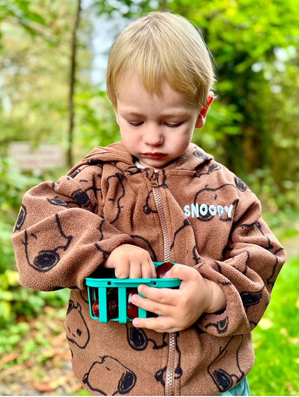 Ahoi Kastanien! Kastaniensammeln im Herbst. Ahoi TiG! Kindertagespflege Braunschweig Gliesmarode – Krippe, Tagesmutter Nicole Appel Bei TiG! sind wir draußen unterwegs! Kindertagespflege in Braunschweig Nicole Appel – Kindertagespflege, Krippe und Tagesmutter für Braunschweig Gliesmarode, Querum, Riddagshausen, Östliches Ringgebiet, Volkmarode, Bienrode, Waggum, Hondelage, Schuntersiedlung, Kralenriede, Dibbesdorf, Schwarzer Berg, Siegfriedviertel, Nordstadt und Schapen, Kitafinder