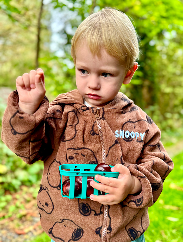 Ahoi Kastanien! Kastaniensammeln im Herbst. Ahoi TiG! Kindertagespflege Braunschweig Gliesmarode – Krippe, Tagesmutter Nicole Appel Bei TiG! sind wir draußen unterwegs! Kindertagespflege in Braunschweig Nicole Appel – Kindertagespflege, Krippe und Tagesmutter für Braunschweig Gliesmarode, Querum, Riddagshausen, Östliches Ringgebiet, Volkmarode, Bienrode, Waggum, Hondelage, Schuntersiedlung, Kralenriede, Dibbesdorf, Schwarzer Berg, Siegfriedviertel, Nordstadt und Schapen, Kitafinder
