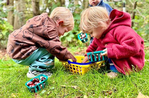 Ahoi Kastanien! Kastaniensammeln im Herbst. Ahoi TiG! Kindertagespflege Braunschweig Gliesmarode – Krippe, Tagesmutter Nicole Appel Bei TiG! sind wir draußen unterwegs! Kindertagespflege in Braunschweig Nicole Appel – Kindertagespflege, Krippe und Tagesmutter für Braunschweig Gliesmarode, Querum, Riddagshausen, Östliches Ringgebiet, Volkmarode, Bienrode, Waggum, Hondelage, Schuntersiedlung, Kralenriede, Dibbesdorf, Schwarzer Berg, Siegfriedviertel, Nordstadt und Schapen, Kitafinder